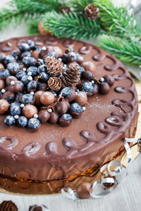 巧克力蛋糕装饰着新鲜浆果