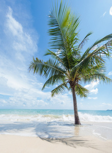 苏梅岛的热带海滩岛