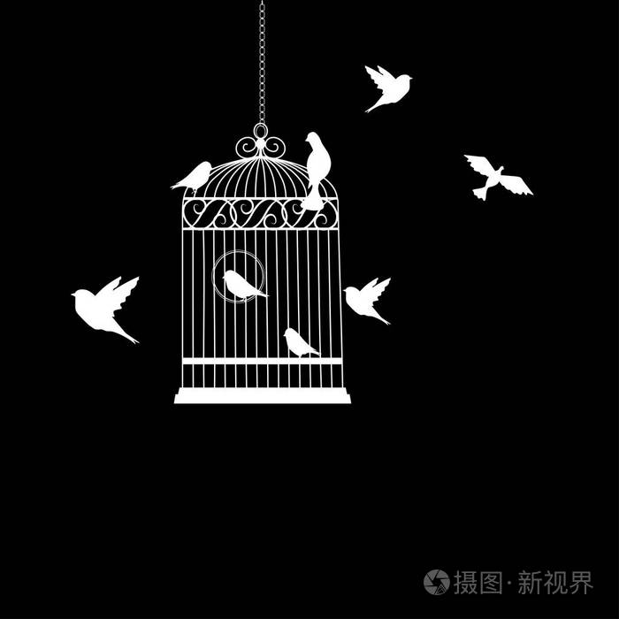 鸟笼子与鸟飞行向量例证