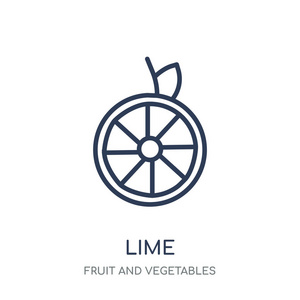 石灰图标。石灰线性符号设计从水果和蔬菜收集。简单的大纲元素向量例证在白色背景
