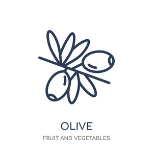 橄榄图标。橄榄线性符号设计从水果和蔬菜收集。简单的大纲元素向量例证在白色背景