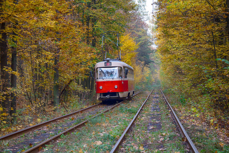 红色的电车旅行在隧道里的秋天的树木。基辅，乌克兰