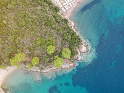 明亮的 turqoise 水和海滩与松树森林的鸟瞰图