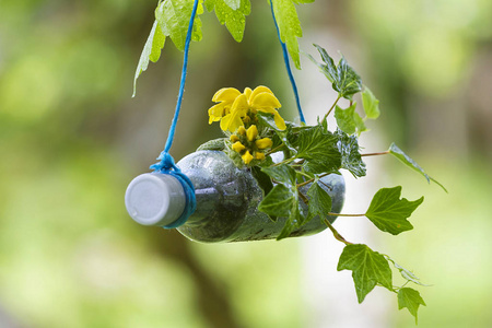 用于园艺的再生塑料瓶