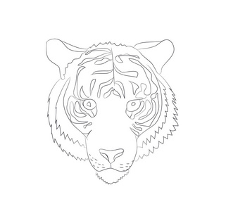 观赏虎的画像图片