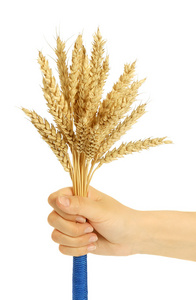 小麦在手
