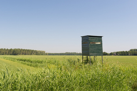 野外的观察小屋图片