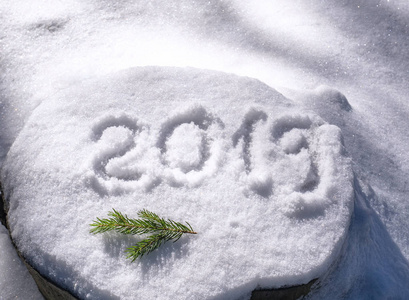 题字2019在雪, 新年的标志