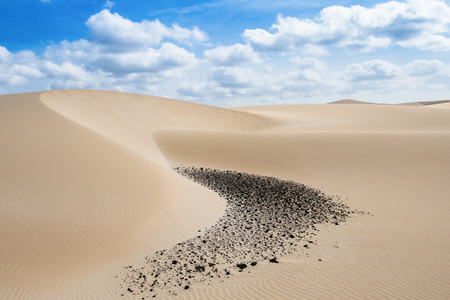 维亚纳沙丘沙漠Deserto 德维亚纳在博维斯塔海角