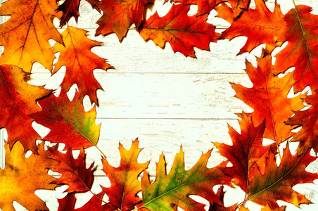 秋季装饰。明亮的叶子背景, 特写, 复制空间