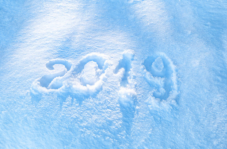题字2019在雪, 新年的标志