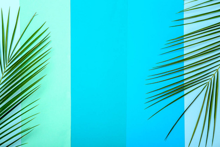 新鲜的热带日期棕榈叶在颜色背景, 上部看法