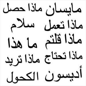 阿拉伯语单词和短语