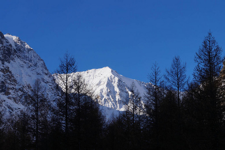 阿克特鲁山在早晨, 阿尔泰, 俄罗斯