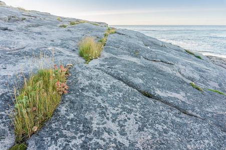 巴伦支海的岩石海岸, 挪威马戈里亚岛
