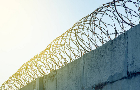 铁丝网装饰图片