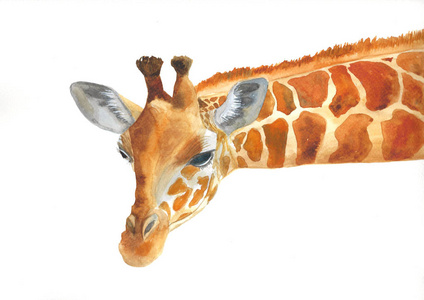 绘画鹿长颈鹿水彩绘画.家, 苗圃装饰照片