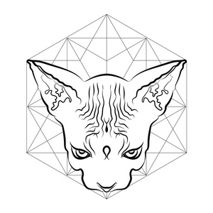 猫纹身几何图片