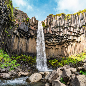 美妙和高 Svartifoss 瀑布与黑色玄武岩专栏在南冰岛, 夏天时间