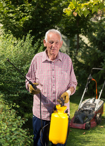 高级男士在花园里喷洒篱笆。背景割草机。爱护植物概念