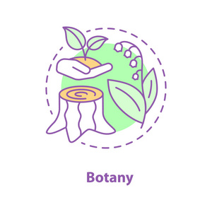 植物学概念图标。科学思想细线插图。植物生物学。树桩, 可以百合, 张开手与芽。矢量隔离轮廓图