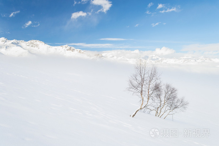 坦率的高山环境