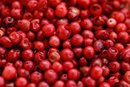 巴西胡椒图片-巴西胡椒素材-巴西胡椒插画-摄图新视界