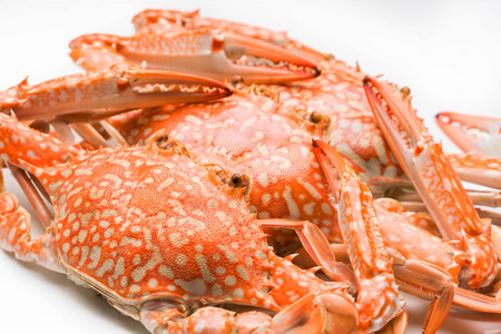 花螃蟹蒸分离在白色背景, 小组照片