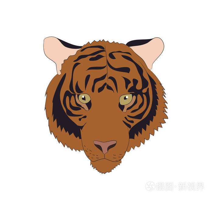 橙色老虎的画像 媒介 白色背景插画 正版商用图片08nw96 摄图新视界 橙色老虎的画像 媒介 白色背景插画 正版商用图片08nw96 摄图新视界