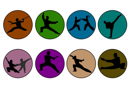 8种不同颜色的武术的图标集照片