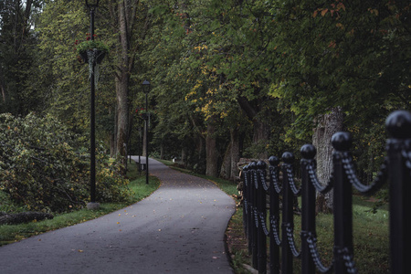 穆迪, 公园里的道路的黑暗照片, 森林之间特写镜头的链围栏与模糊的背景失饱和, 复古看与空间文本, 秋日