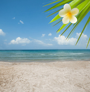 美妙的热带海滩, 蓝色的海, 太阳, 沙子, 天空和绿叶