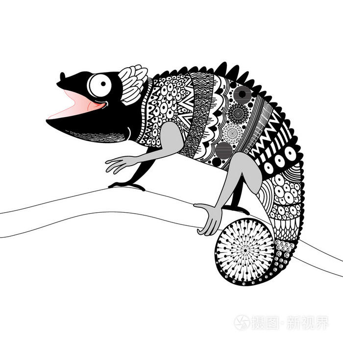 图形观赏变色龙