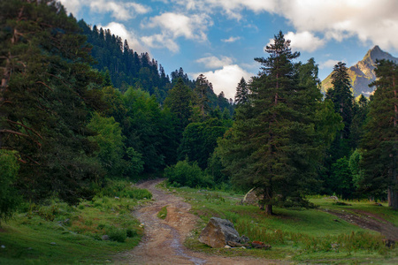 洛基山路穿过森林通向山峰图片