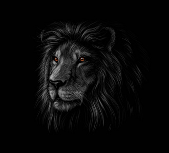 狮子头像图片霸气黑白图片