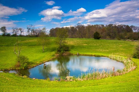 在宾夕法尼亚州约克县，农村的池塘的视图