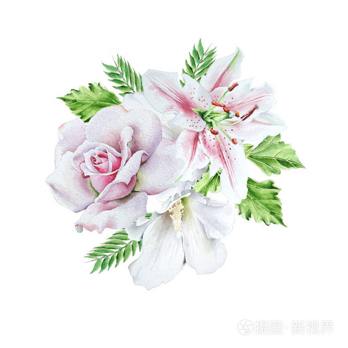 花的水彩花束 玫瑰 莉莉 插图照片 正版商用图片08o3nx 摄图新视界 花的水彩花束 玫瑰 莉莉 插图照片 正版商用图片08o3nx 摄图新视界