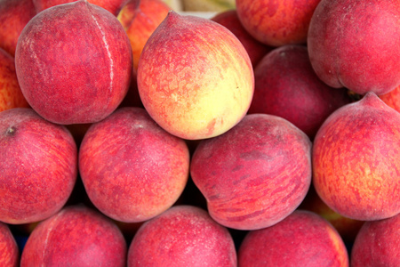 作为背景的新鲜杏子果剧照: 杏子照片