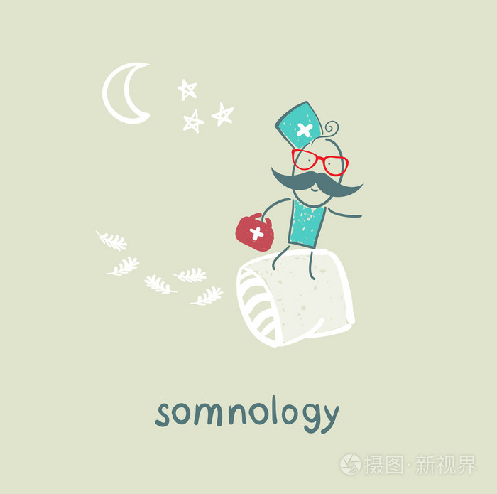 somnology 在枕头上的苍蝇