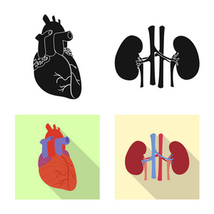 人体和人体标志的矢量设计。收集身体和医学矢量图标的股票