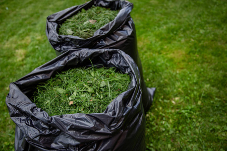 单一回收袋, 满是草屑从草坪, 已经割。在花园工作, 春季清洁