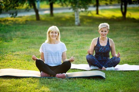两名成年妇女在夏季户外瑜伽公园