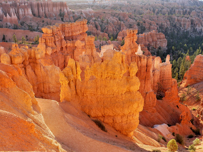 布莱斯峡谷国家。橙色岩石在国家公园里