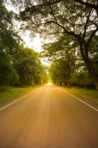 新的沥青高速公路到自然在风景日落温暖的色调