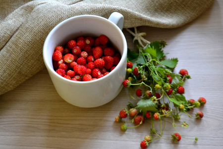 桌上放着一杯野草莓。夏日静物