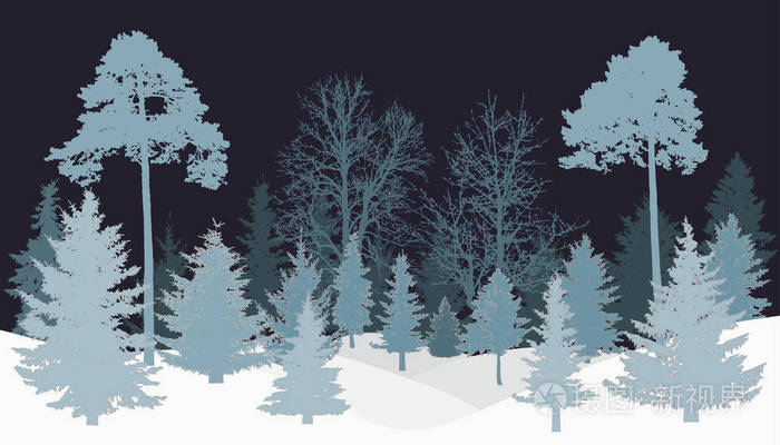 冬天森林夜剪影.向量