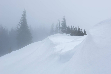 冬天风景与雾和云杉森林。雪在群山中飘荡