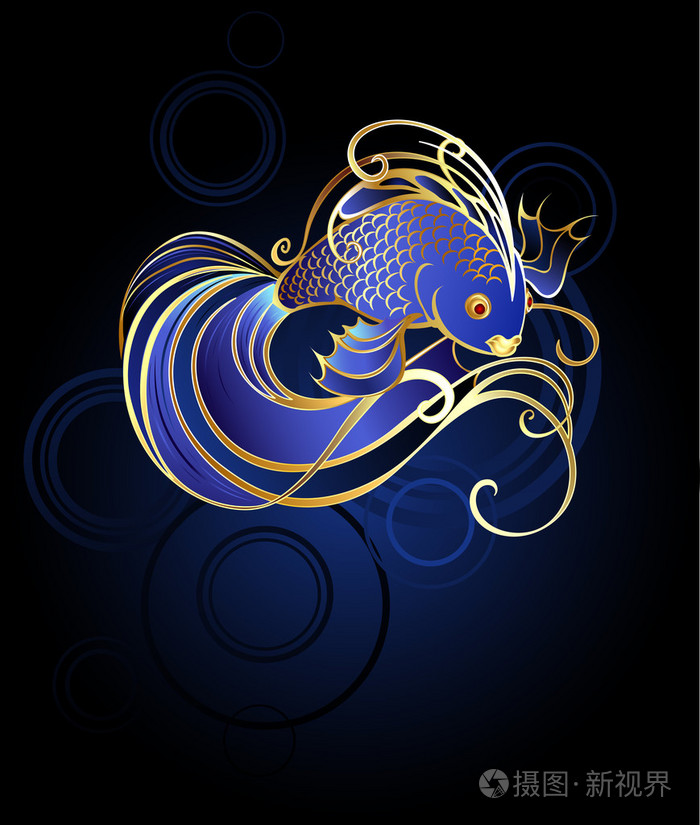 青色の背景に金魚插画 正版商用图片08oszz 摄图新视界 青色の背景に金魚插画 正版商用图片08oszz 摄图新视界
