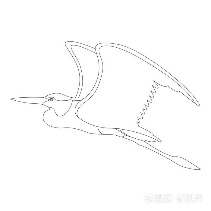 苍鹭的足怎么画图片