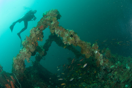 潜水员，在安汶，印度尼西亚马鲁古群岛的水下照片船残骸